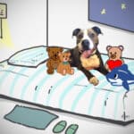 Alameda Post - Samantha the adoptable dog in a cartoon illustration cuddled in bed with stuffed animals
