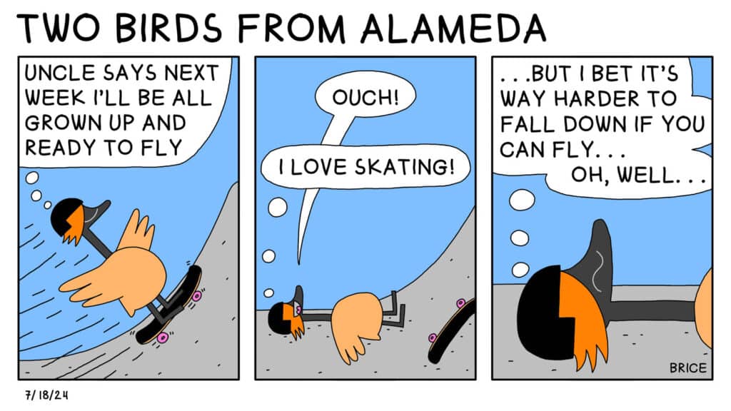 Alameda Post - Two Birds from Alameda for July 18, 2024. Panel 1: A young bird rides a skateboard up a slope and thinks to themselves, "Uncle says next week I'll be all grown up and ready to fly." Panel 2: The bird has fallen backwards against the ground, but they smile and say, "Ouch" and think to themselves, "I love skating!" Panel 3: The bird looks concerned and thinks to themselves, "... But I bet it's way harder to fall down if you can fly... Oh, well..."