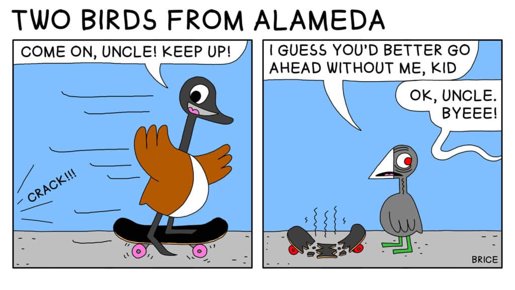 Alameda Post - Two Birds from Alameda for July 15, 2024. First panel: Out of frame, something goes "Crack!!!" A young Canada goose rides a skateboard. They look over their shoulder towards the noise and say, "Come on, Uncle! Keep up!" Second panel: Old Coot stands next to a broken, ruined skateboard and says, "I guess you'd better go ahead without me, kid." The goose replies from out of frame, "Ok, Uncle. Byeee!"