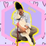 Alameda Post - Lima the adoptable 5 month old Husky sits in a volunteer's lap