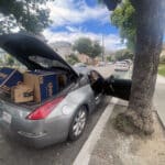 Alameda Post - Mouf sits in the passenger seat of a car full-to-bursting with chewy boxes