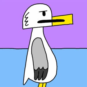 Alameda Post - Seagull from Two Birds from Alameda, October 17, 2024