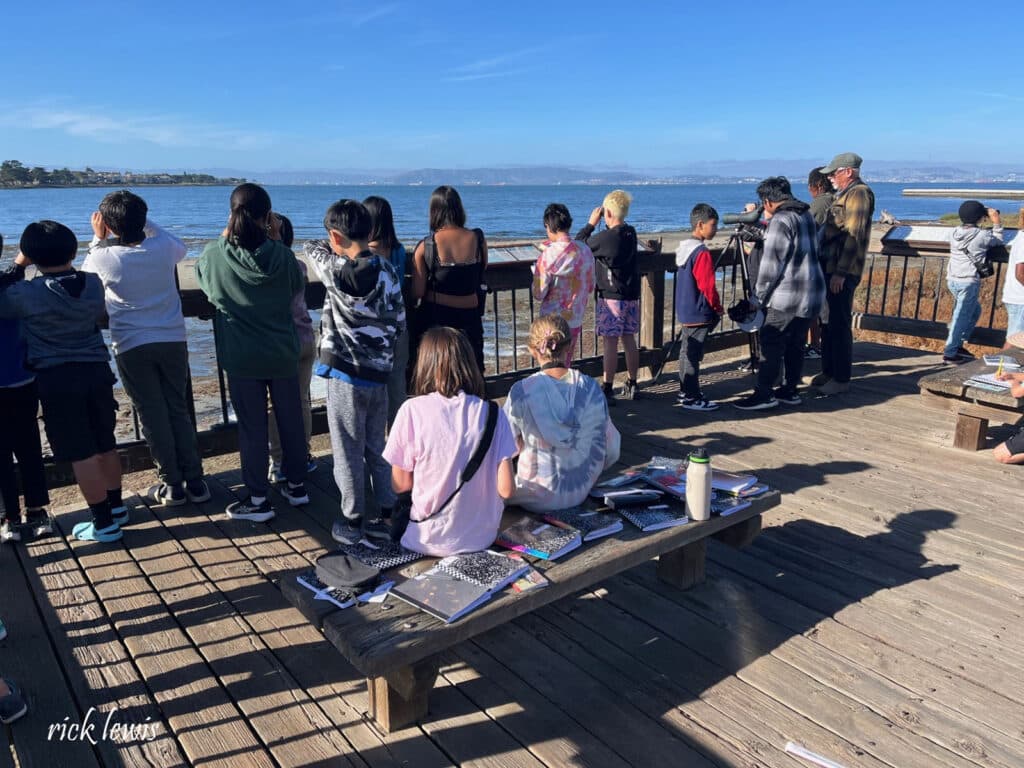 Alameda post - middle schoolers stand on an overlook and write down notes or look at the water