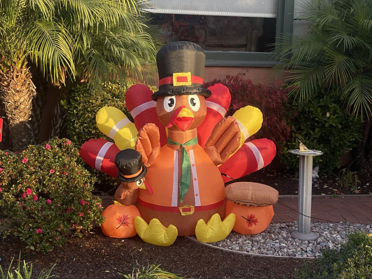 Alameda Post - a blow up turkey decoration