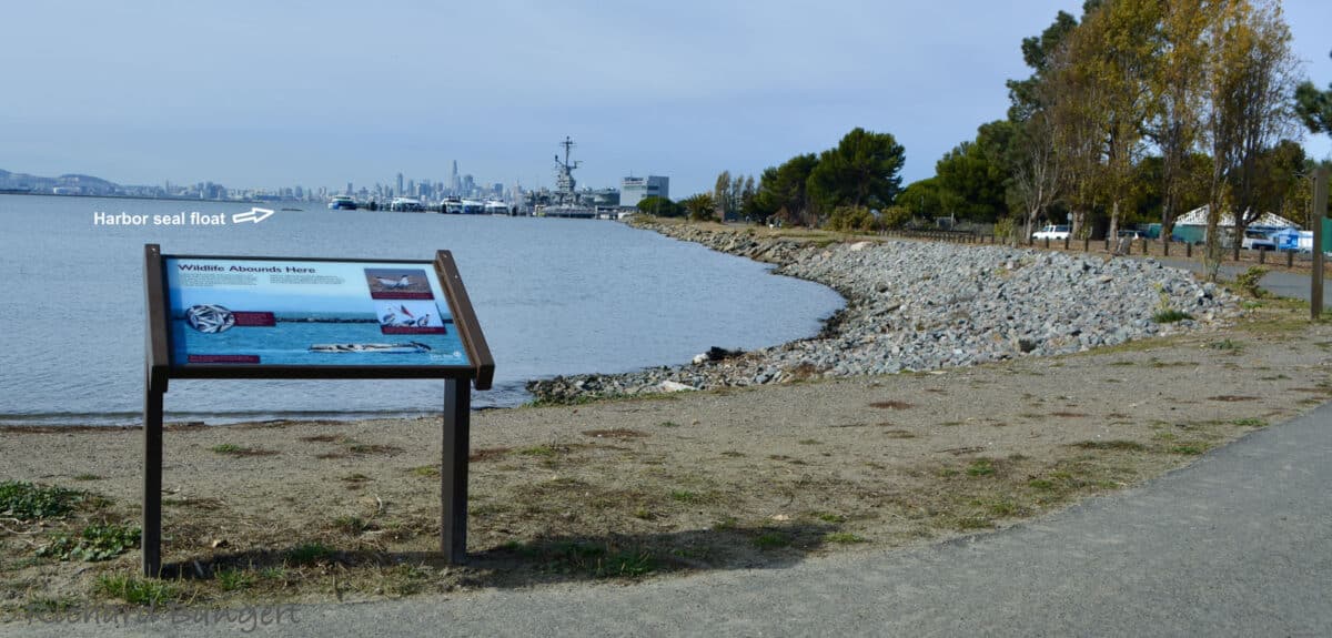 Alameda Post - part of the Bay Trail looking out into the Bay, with the floating harbor seal dock in the distance