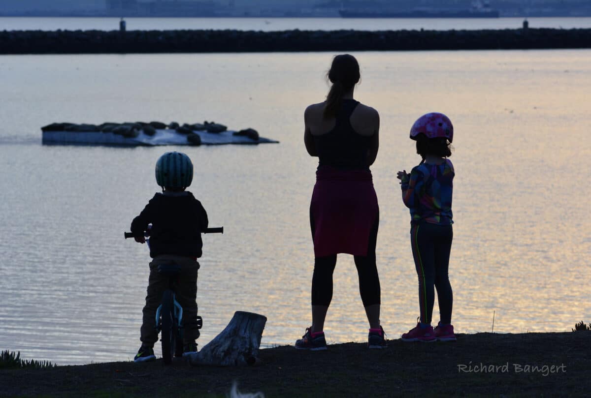 Alameda Post - a mom and two kids look out to the Bay