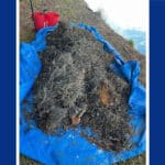 Alameda Post - a blue tarp is laid on the ground with metal shavings cleaned up by San Fransisco Baykeeper