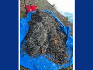 Alameda Post - a blue tarp is laid on the ground with metal shavings cleaned up by San Fransisco Baykeeper