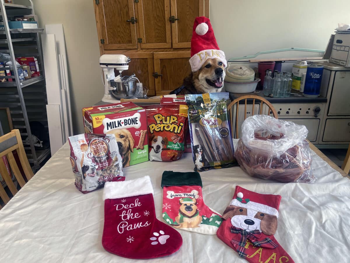Alameda Post - Mouf the dog poses with the treats and stockings he prepared for FAAS canine Christmas.