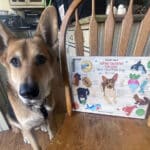 Alameda Post - Mouf and his advent calendar