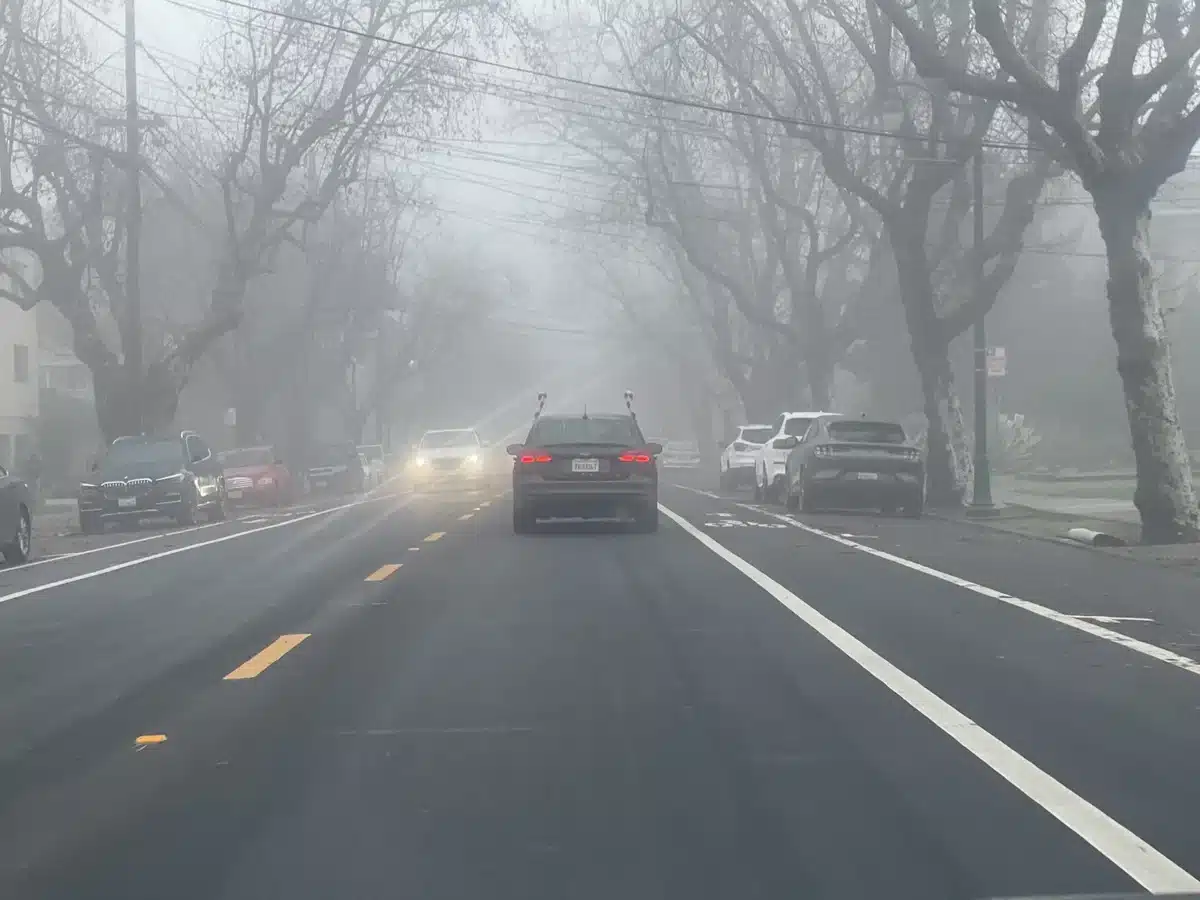 Alameda Post - a foggy morning