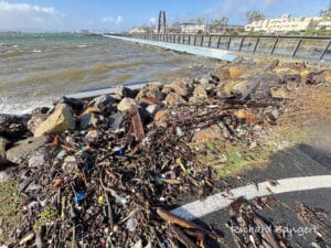 Alameda Post - at a corner of Seaplane Lagoon where the water and ground meet, a pile of debris sits. The pile includes driftwood, as well as a rainbow of colored plastic pieces all throughout it.