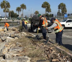 Alameda Post - workers in safety vests work to get plastic trash and debris out from the ground in between the road and Seaplane Lagoon