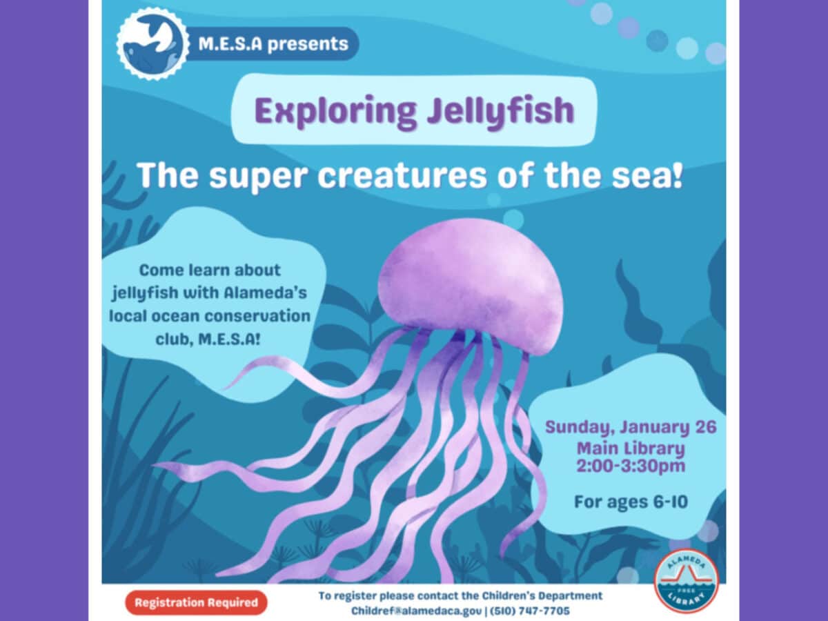 Alameda Post - the poster for the exploring jellyfish event at the Alameda Free Library