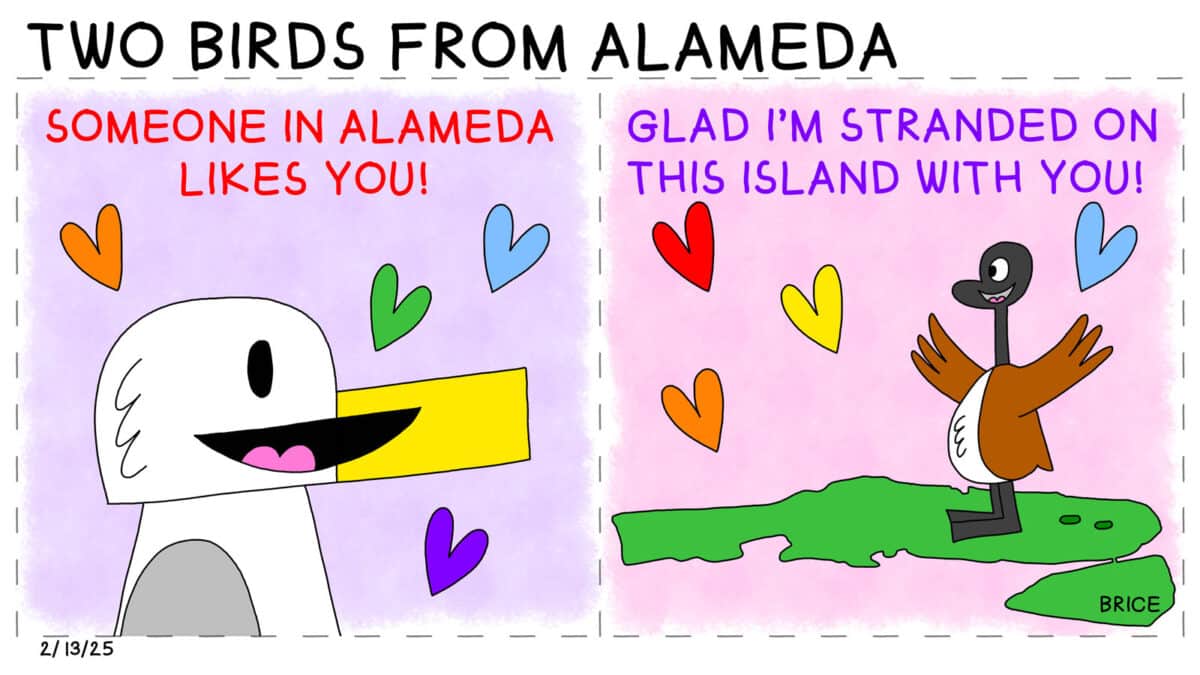 Alameda Post - Two Birds from Alameda for February 13, 2025. First panel: Seagull is surrounded by hearts. Text across the top says, "Someone in Alameda likes you!" Second panel: Goose waves their wings surrounded by hearts. Text across the top says "Glad I'm stranded on this island with you!"