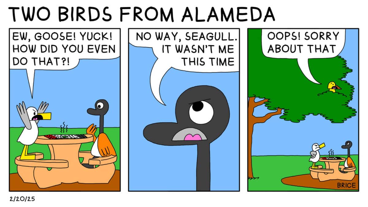 Alameda Post - Two Birds from Alameda for February 20, 2025. First panel: Seagull and Goose sit across from each other at a park table and play checkers. A small steaming green pile sits in the middle of the board. Seagull raises their wings are exclaims, "Ew, Goose! How did you even do that?!" Second panel: Goose replies, "No way, Seagull. It wasn't me this time." Third panel: The scene widens to include a small yellow bird in the tree above the table. The bird says, "Oops! Sorry about that!"