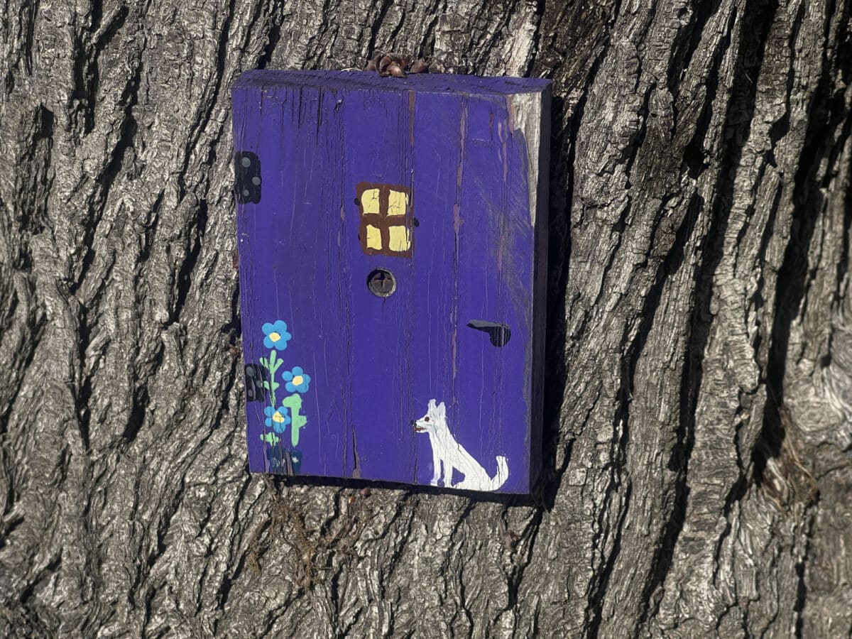 Alameda Post - a small purple fairy door on a tree. A small dog is painted on it.