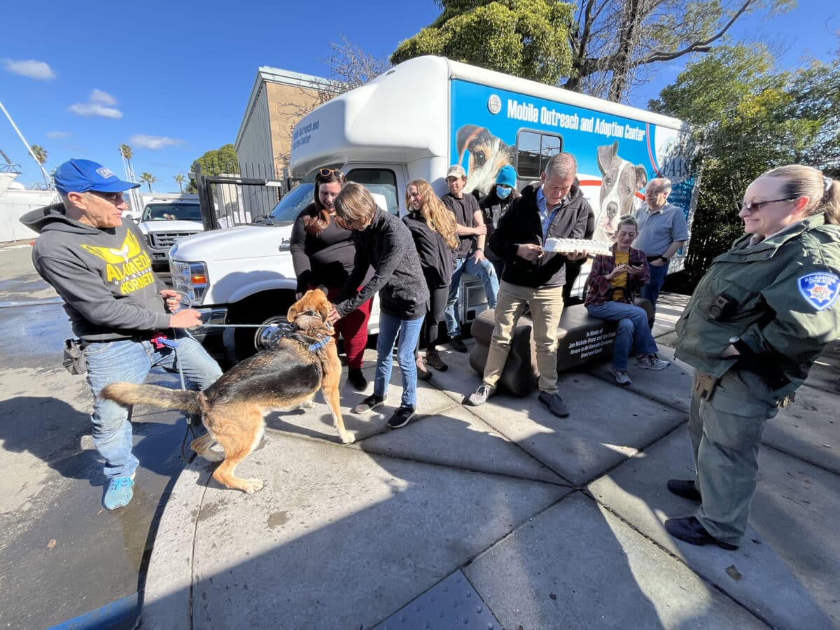 Alameda Post - FAAS staff stands together outside next to the mobile adoption van. A few staff members interact with Mouf the dog and one holds a cake