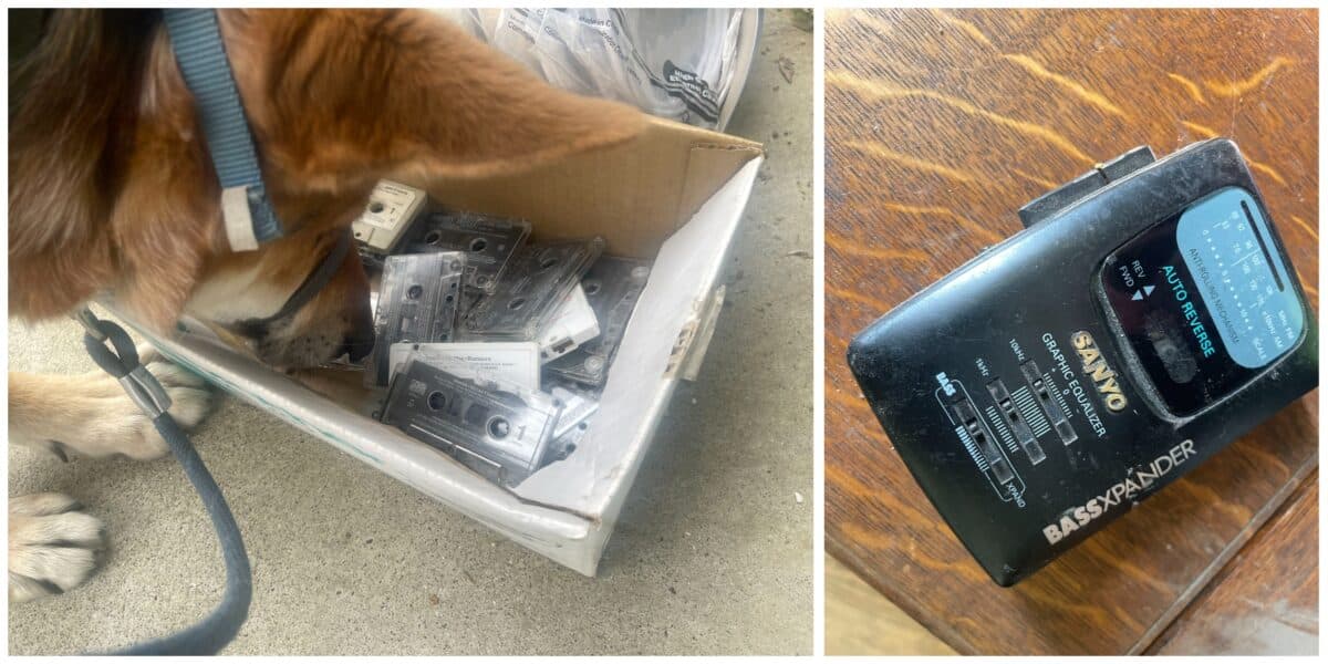 Alameda Post - A photo of Mouf sniffing a box of cassette tapes, and a photo of a cassette player