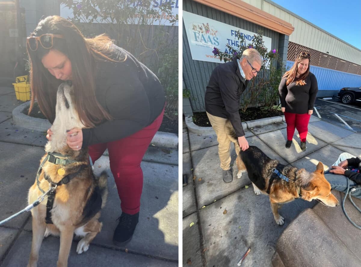 Alameda Post - photos of Mouf the dog saying "hi" to FAAS staff