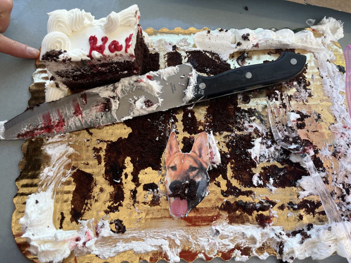 Alameda Post - a sheet cake that is almost completely gone