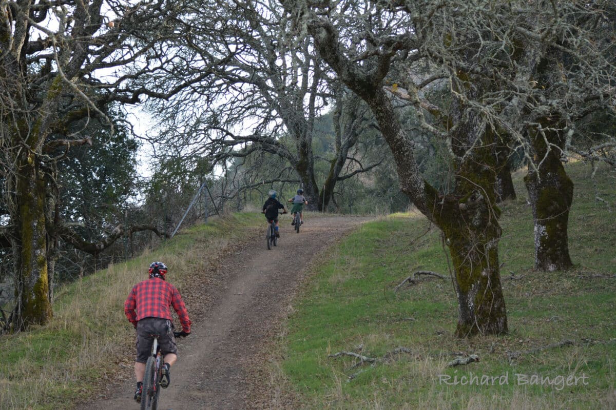 Alameda Post - a family out for a bike ride on a wide dirt path
