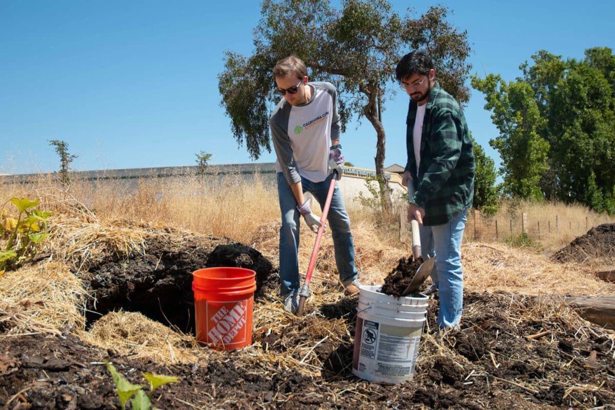 Alameda Post - two people shovel at REAP