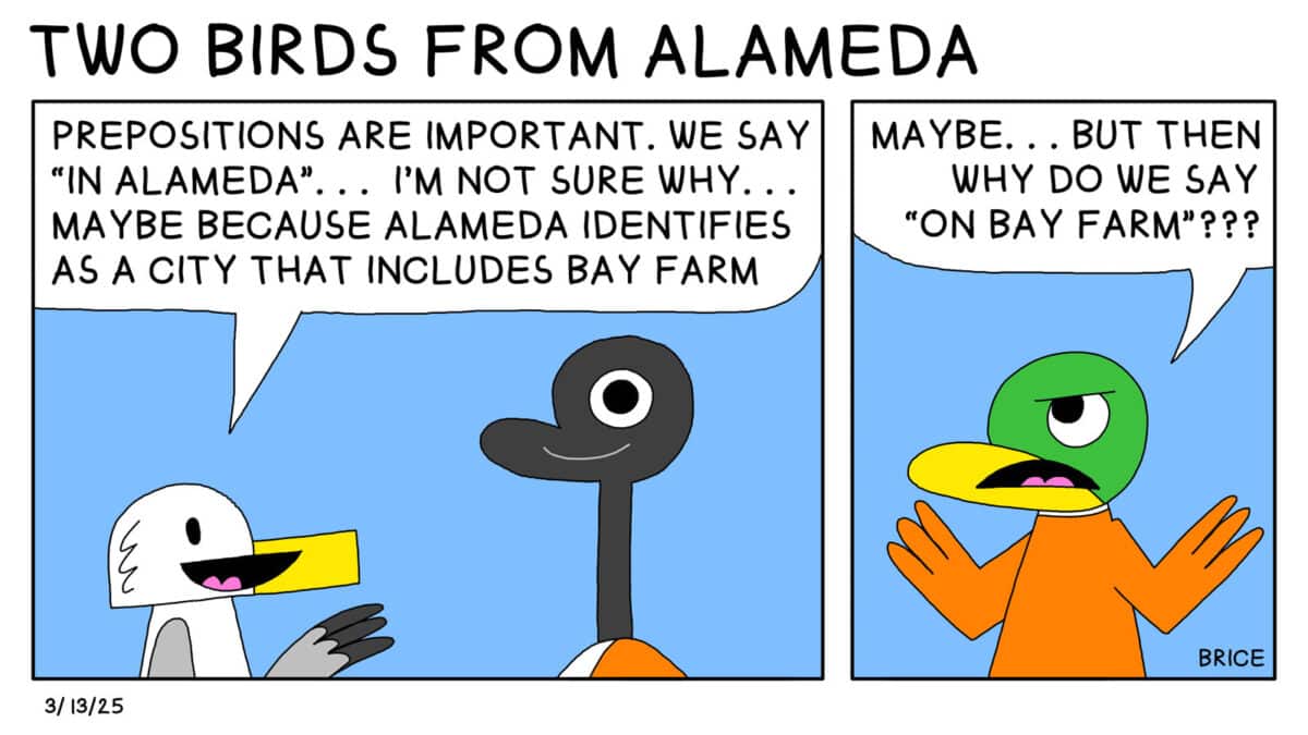 Alameda Post - Two Birds from Alameda for March 13, 2025. First panel: Seagull says to Goose, "Prepositions are important. We say 'in Alameda'... I'm not sure why... maybe because Alameda identifies as a City that includes Bay Farm." Second panel: A duck says, "Maybe... but then why do we say "On Bay Farm?"