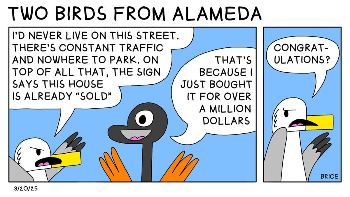 Alameda Post - Two Birds from Alameda for March 20, 2025. First panel, Seagull says to Goose, "I'd never live on this street. There's constant traffic and nowhere to park. On top of all that, the sign says this house is already 'sold.'" Goose replies, That's because I just bought it for over a million dollars." Next panel: Seagull says, Congratulations?" 