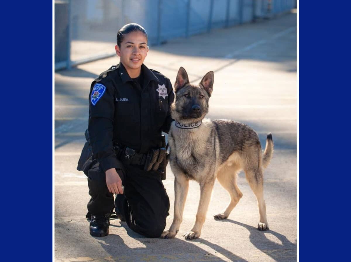 Alameda Post - K9 Argo with an APD officer