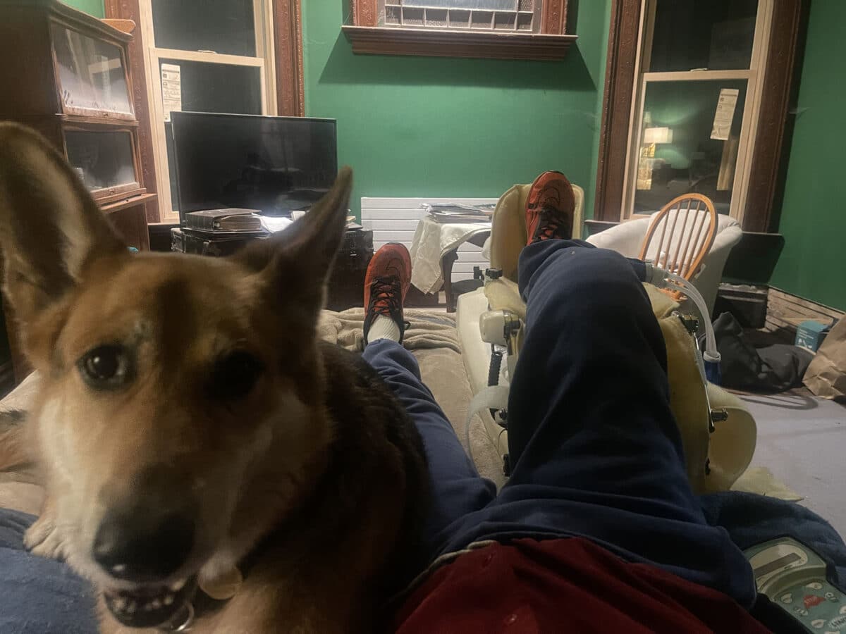 Alameda Post - Mouf the dog sits on his human's bed while his human's leg is propped up after surgery