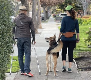 Alameda Post - Mouf the dog walks with a dog walker and looks up to Jeff Cambra who walks on crushes next to them