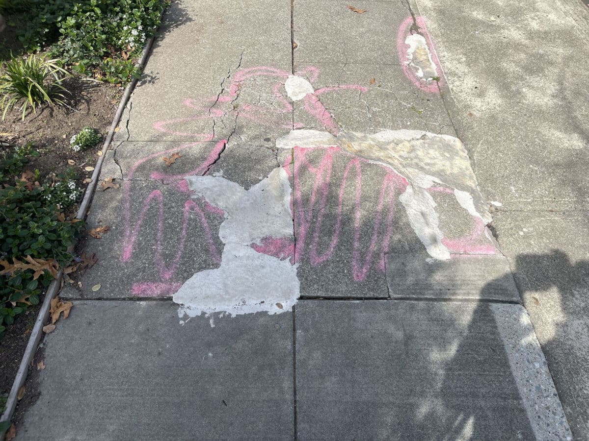Alameda Post - sidewalk chalk