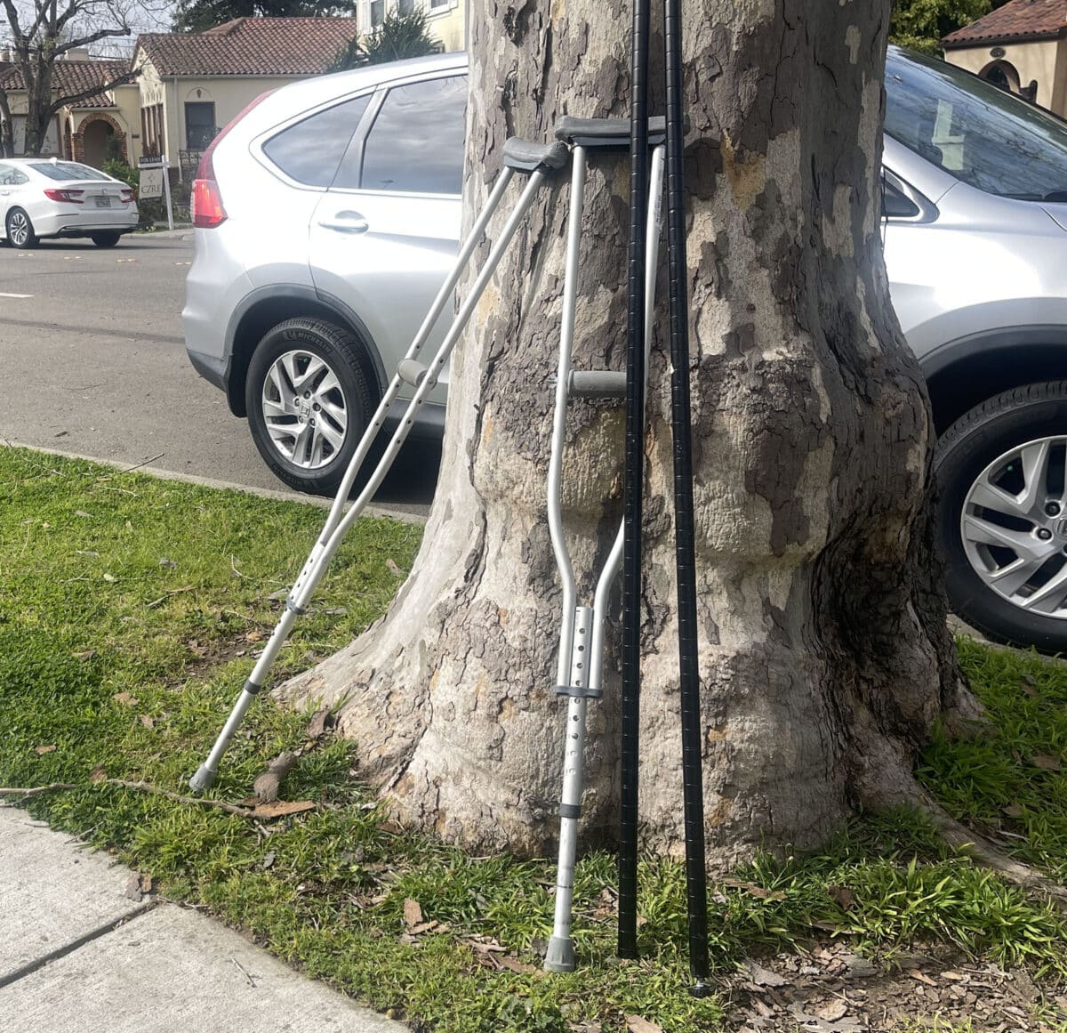 Alameda Post - a pair of crutches leaning against a tree