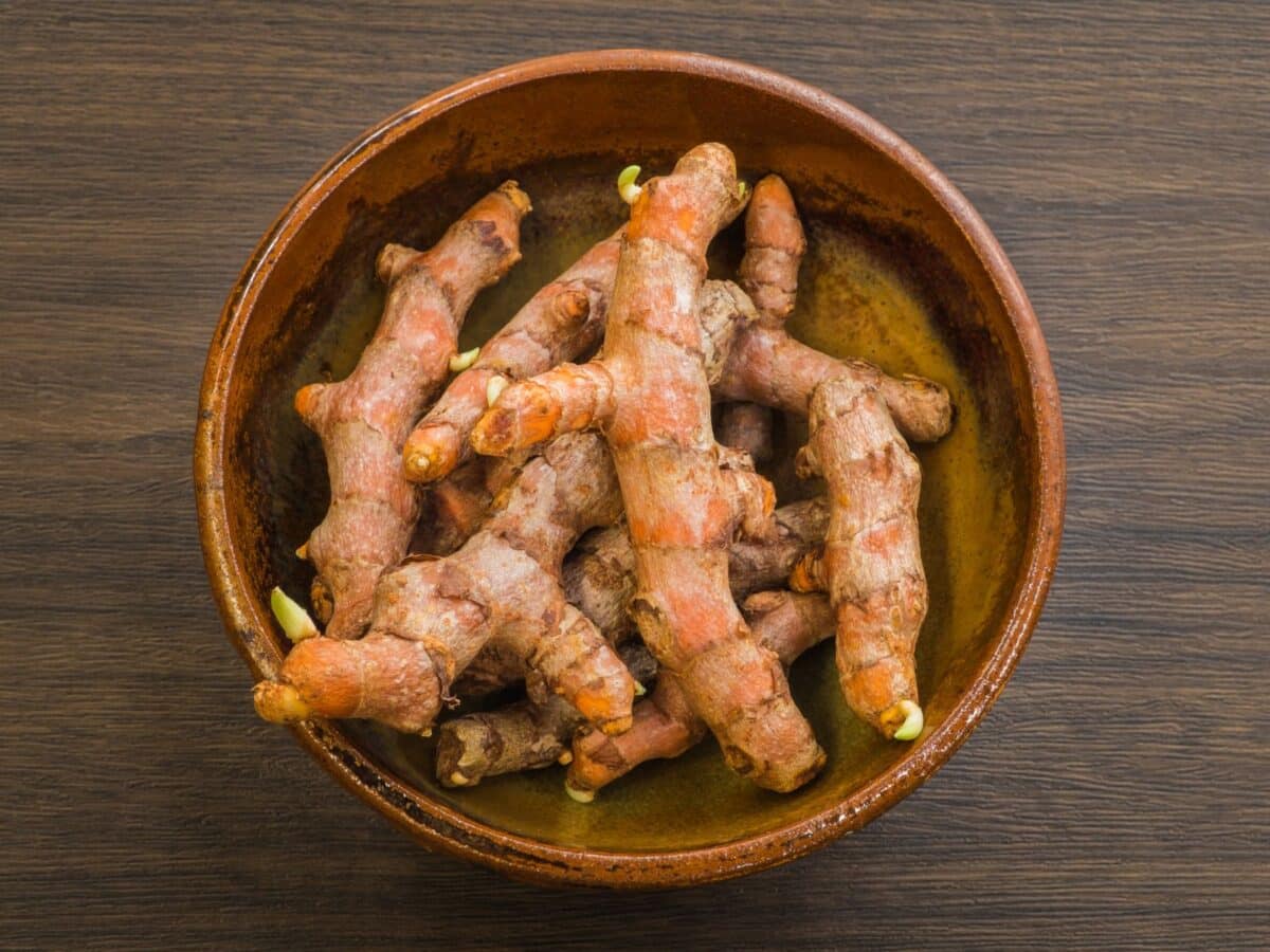 Alameda Post - turmeric rhizomes 