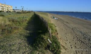 Alameda Post - the South Shore beach