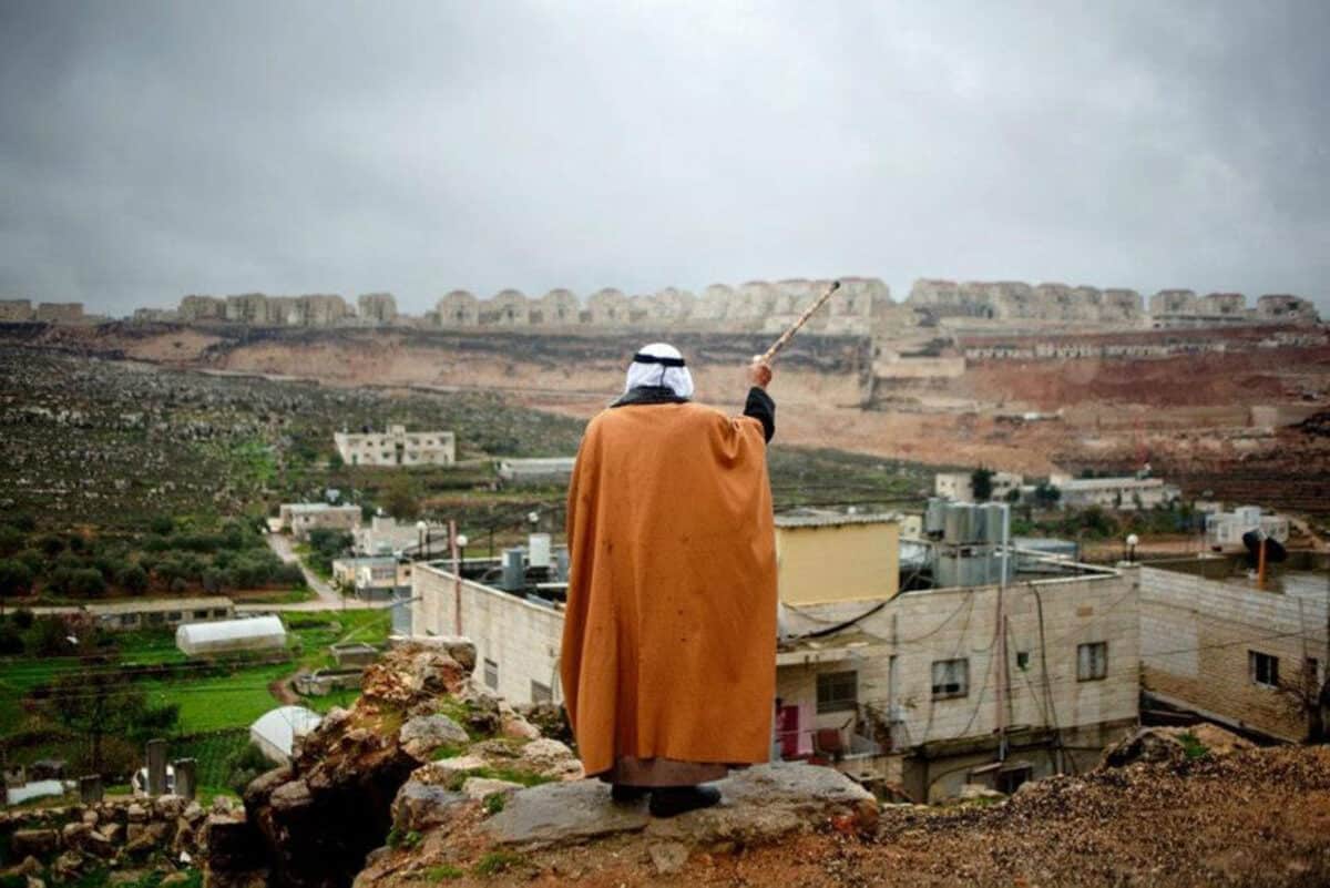 Alameda Post - a person stands and looks out over Wadi Foquin, a proposed sister city of Alameda