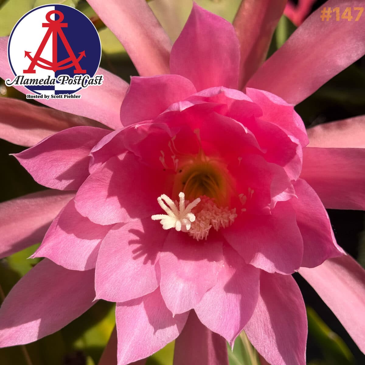 Alameda PostCast Episode 147 for March 28, 2025.