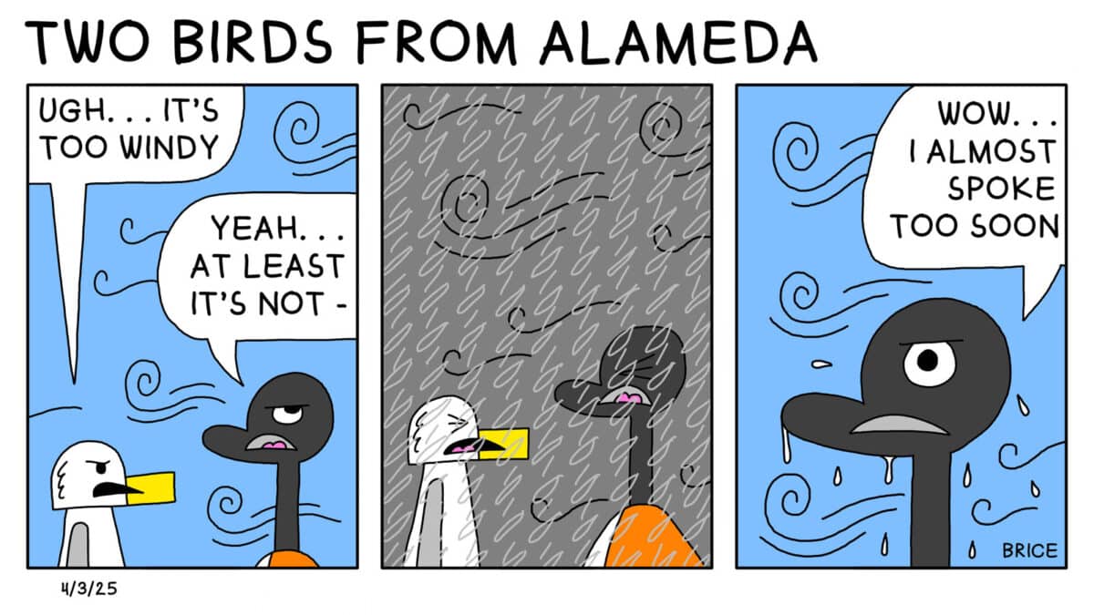 Alameda Post - Two Birds from Alameda for April 3, 2025. First panel: Seagull and Goose stand together in the wind. Seagull says, "Ugh... It's too windy." Goose replies, "Yeah... at least it's not -" Second panel: Seagull and Goose grimace as the sky has turned grey and it's heavily raining. Third panel: Goose is dripping water, the wind is blowing again, and Goose says, "Wow... I almost spoke too soon."