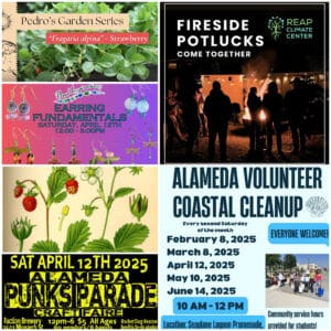 Alameda Post - a collage of posters for upcoming local events