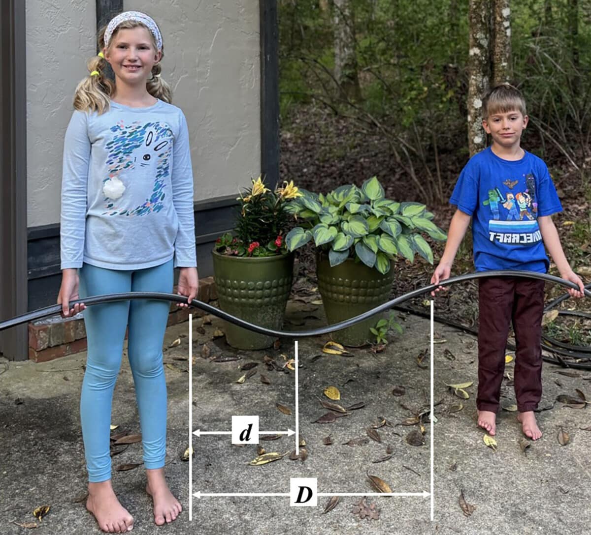 Alameda Post - Two kids hold a garden hose that sags and forms a shallow half circle between them. A Distance labeled capital D is marked between the kids' hands. Around halfway between the two kids' hands, the lowest point of the curve is labeled lowercase d distance from one child's hand.