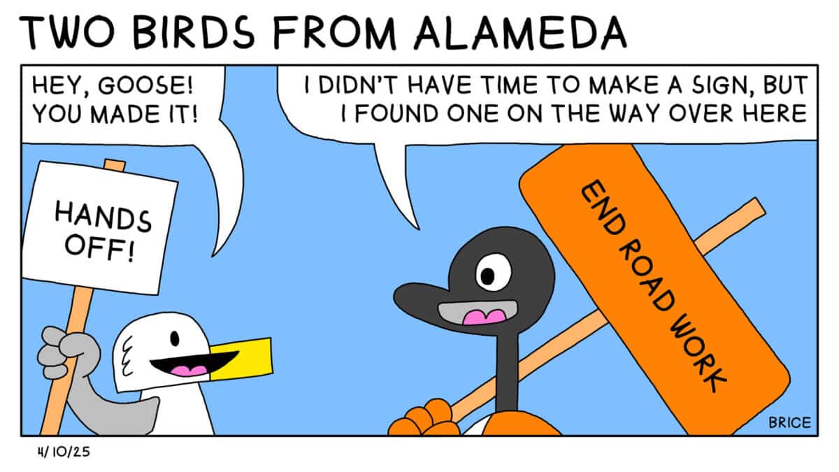 Alameda Post - Two Birds from Alameda for April 10, 2025. Seagull holds a sign that says, "Hands off" and greets Goose, "Hey, Goose! You made it!" Goose approaches holding another sign and says, "I didn't have time to make a sign, but I found one of the way over here!" The sign says "End road work."