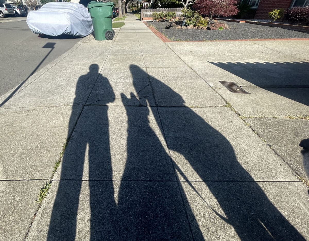 Alameda Post - shadows on the sidewalk of two humans and one dog