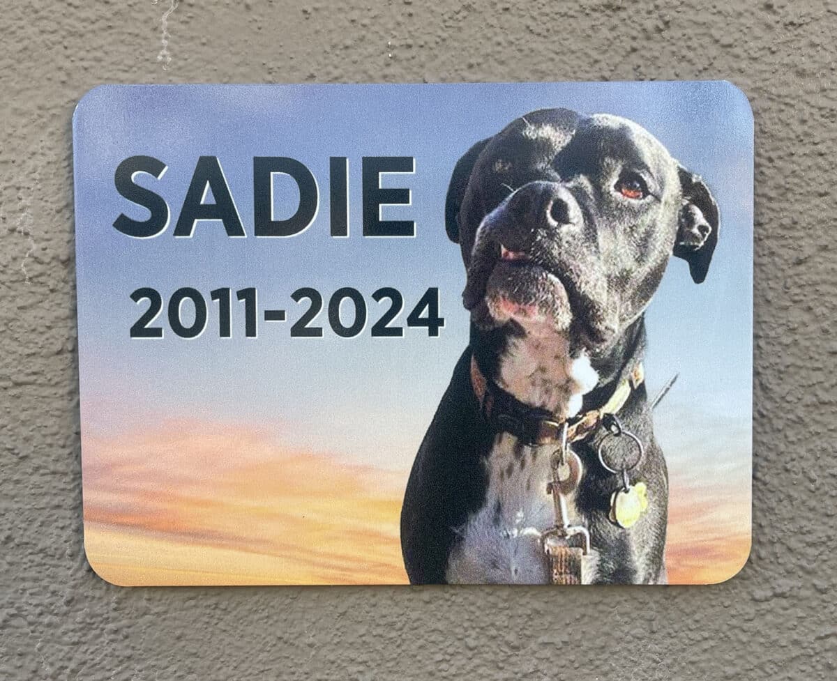 Alameda Post - a remembrance plaque with a dog's photo that says "Sadie 2011-2024