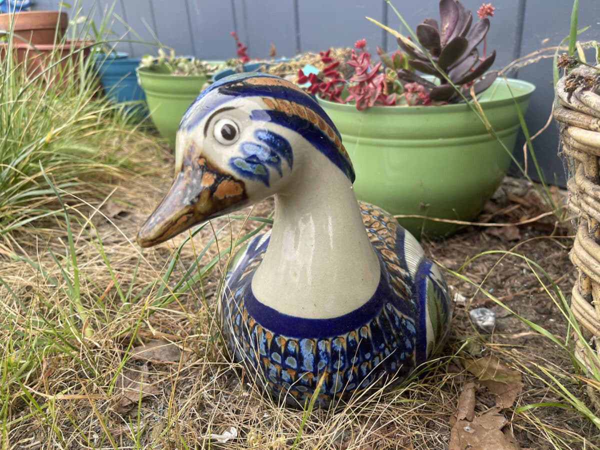 Alameda Post - a decorative duck