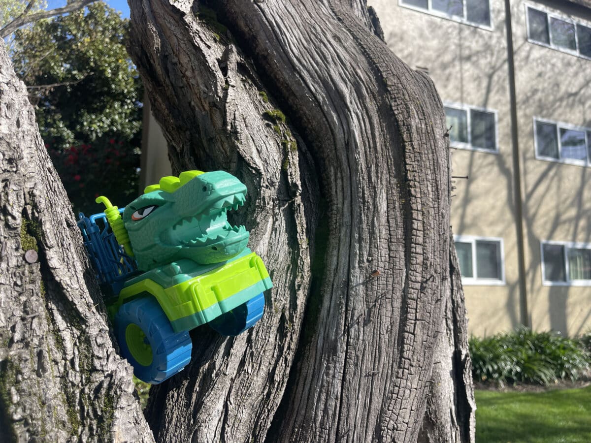 Alameda Post - a child's toy truck with a dinosaur head on the front