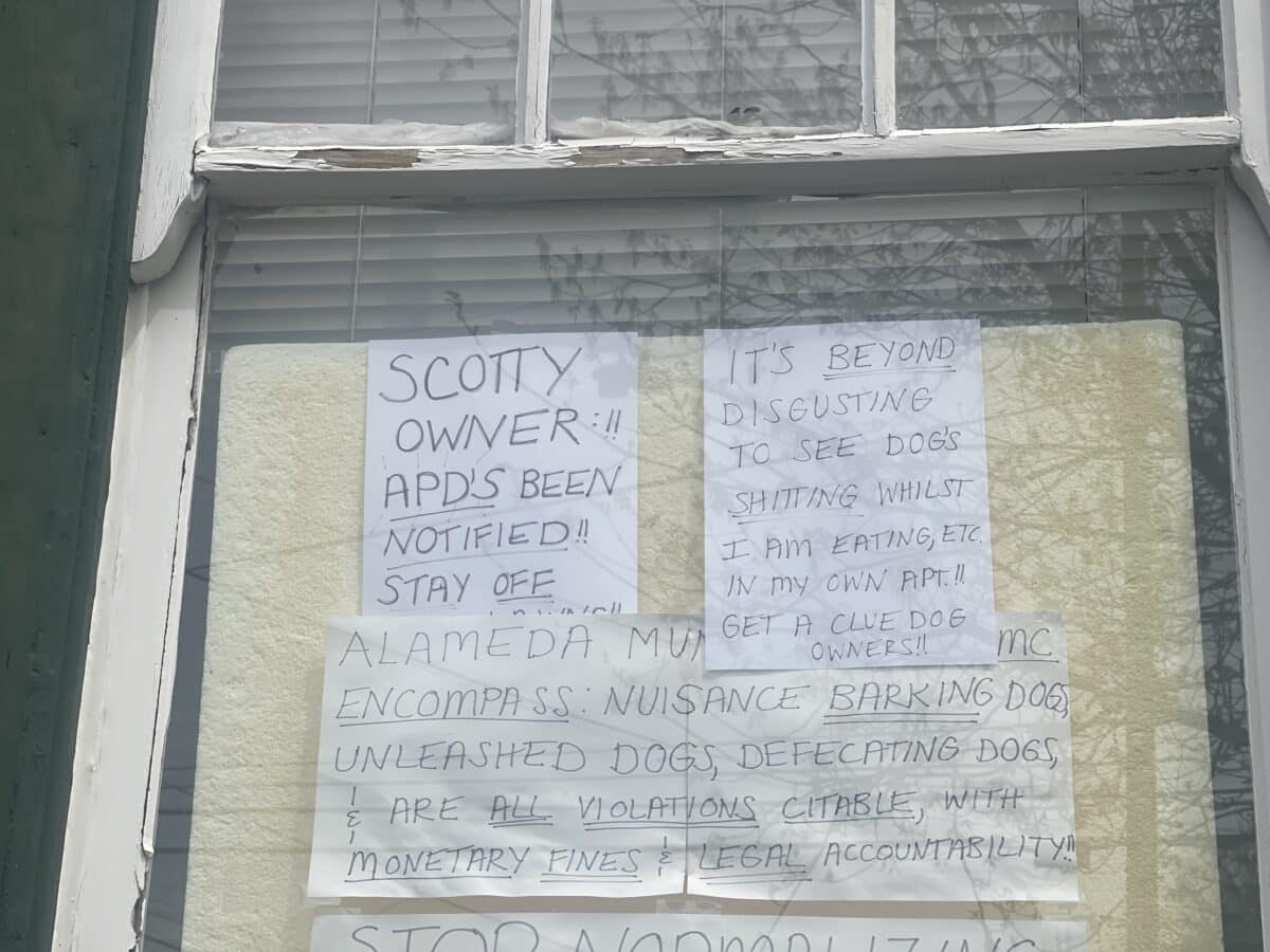 Alameda Post - An apartment window is crowded with handwritten signs on printer paper, in all capital letters, in sharpie. The content of the signs say things like "Scotty Owner, APD's Been Notified Stay off my lawn." and "Get a clue dog owners." And other signs that threaten monetary fines and legal accountability 