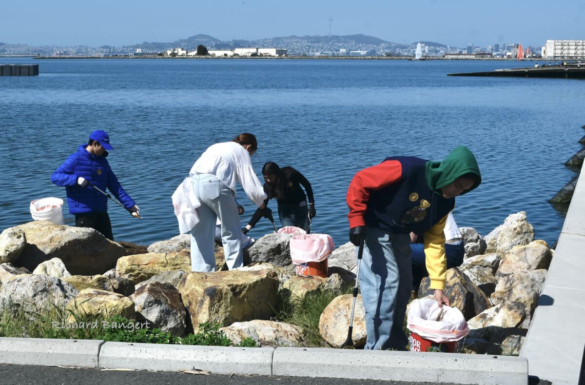 Alameda Post - volunteers pick up trash amongst the rocks at Seaplane Lagoon Promenade