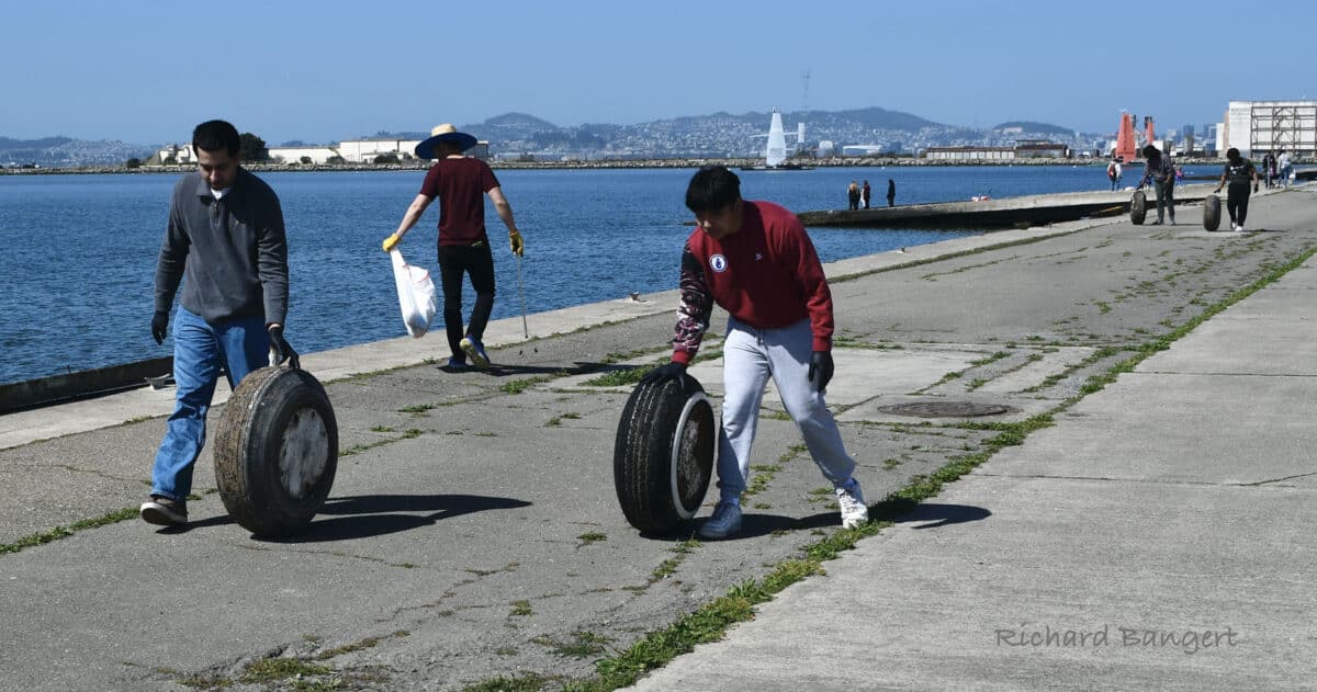 Alameda Post - volunteers roll tires and care trash away from the water