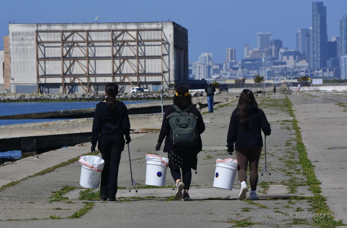 Alameda Post - three volunteers with buckets and pickers walk out to collect trash